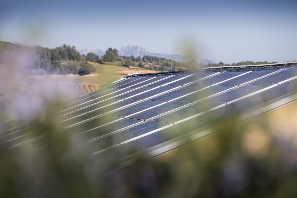 Installation de panneaux solaires sur le toit de l'usine Pere Valls pour une énergie propre.