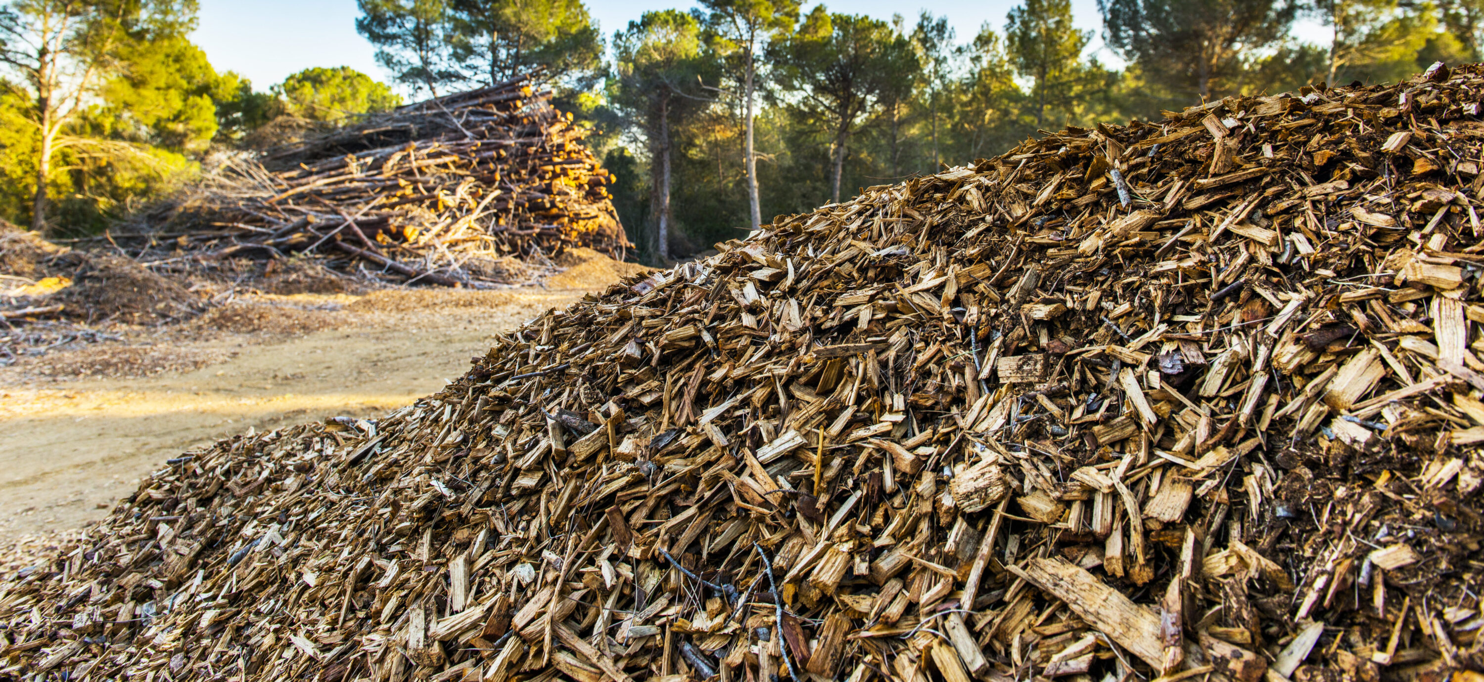 Labels de garantie de durabilité forestière et environnementale.